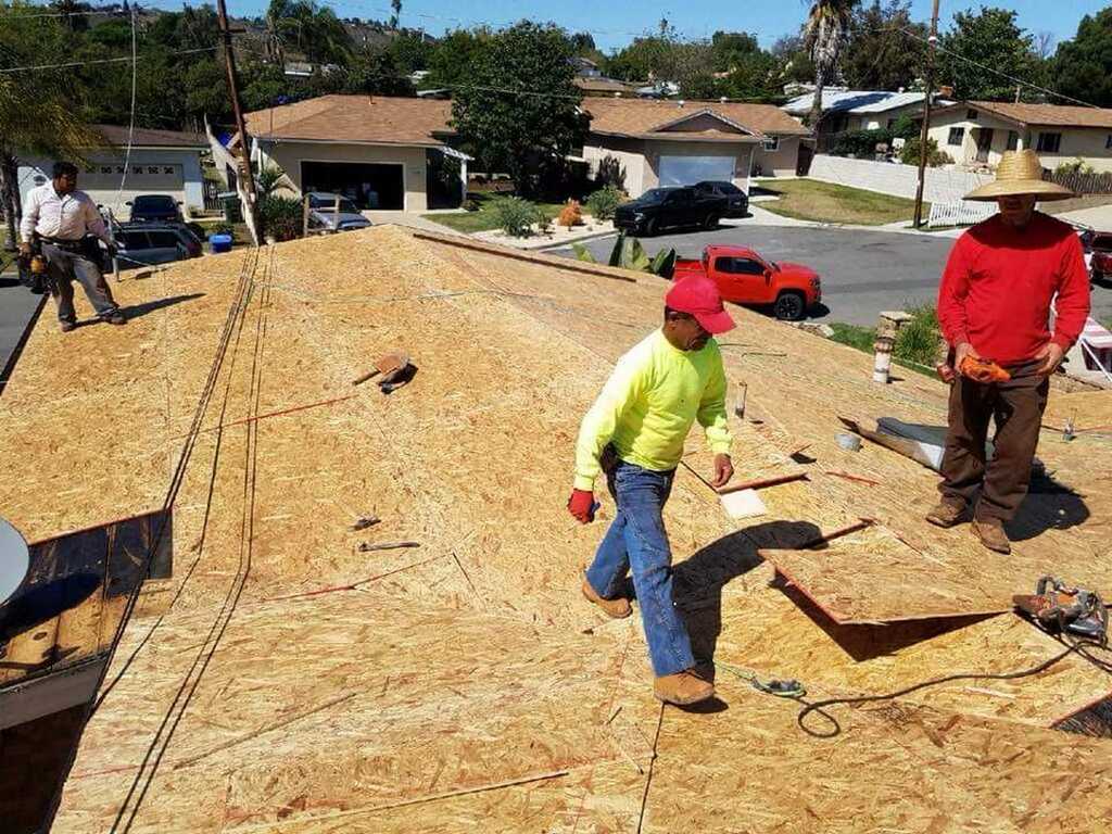 a2m contractors installing plywood sheathing