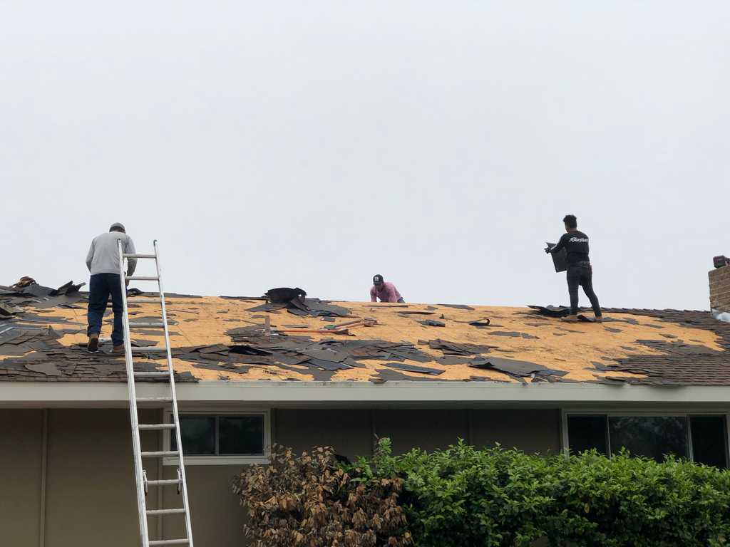a2mContractors taking down the old roof shingles